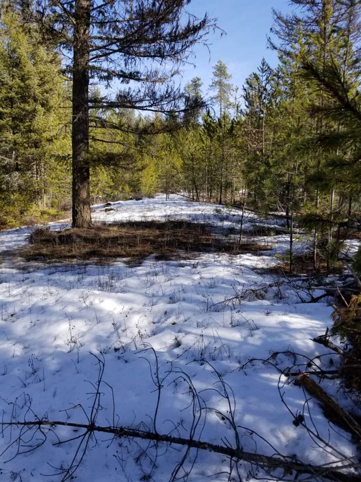 4072 Gardenspot Road, Unit 3 Loon Lake, WA 99148 - Photo 3 of 7 Gallery Image 3