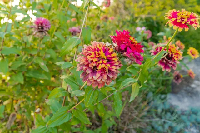 $579,900 | 3752 Stone Point Drive Northeast, Rochester, MN 55906