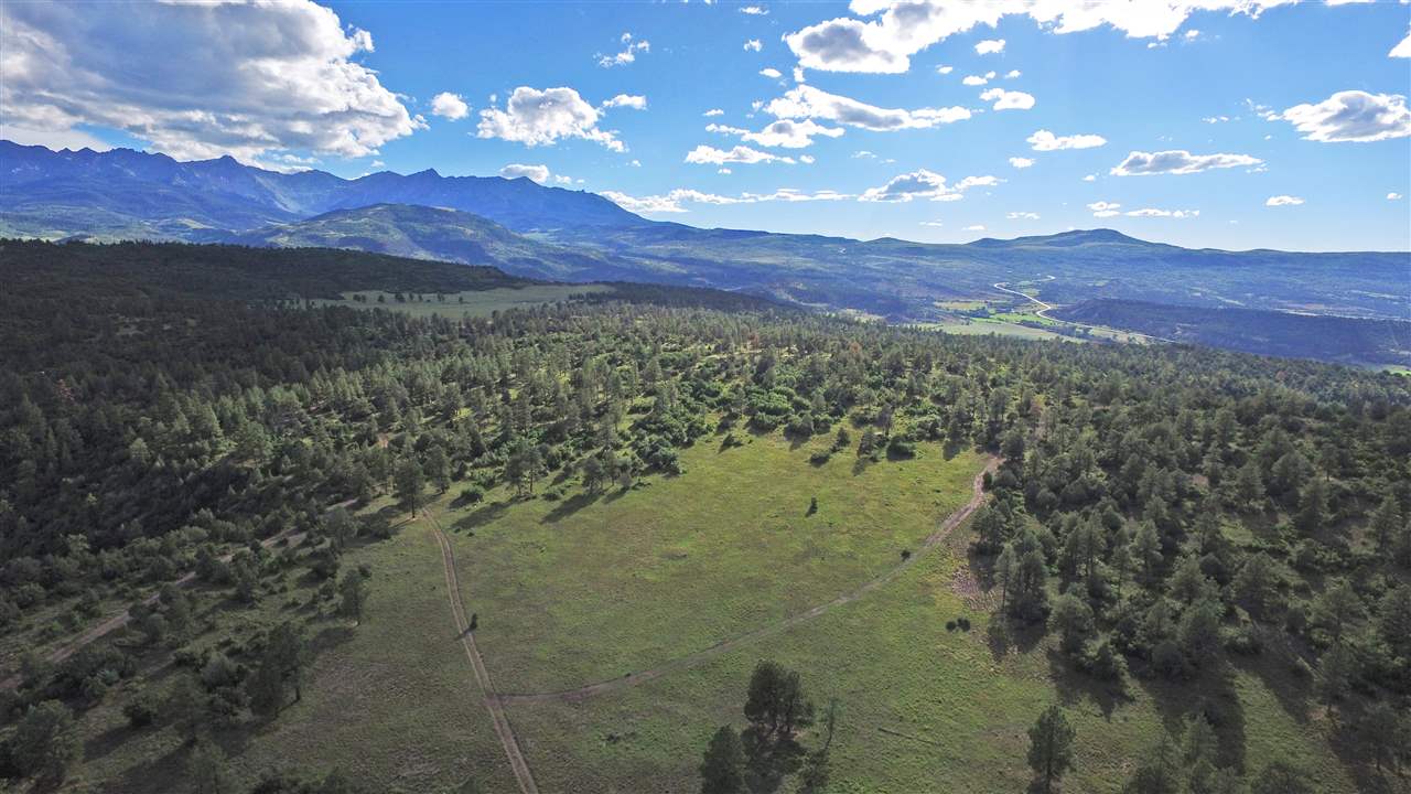 8510 Tbd Ridgway, CO 81432 - Photo 9 of 10 Gallery Image 9