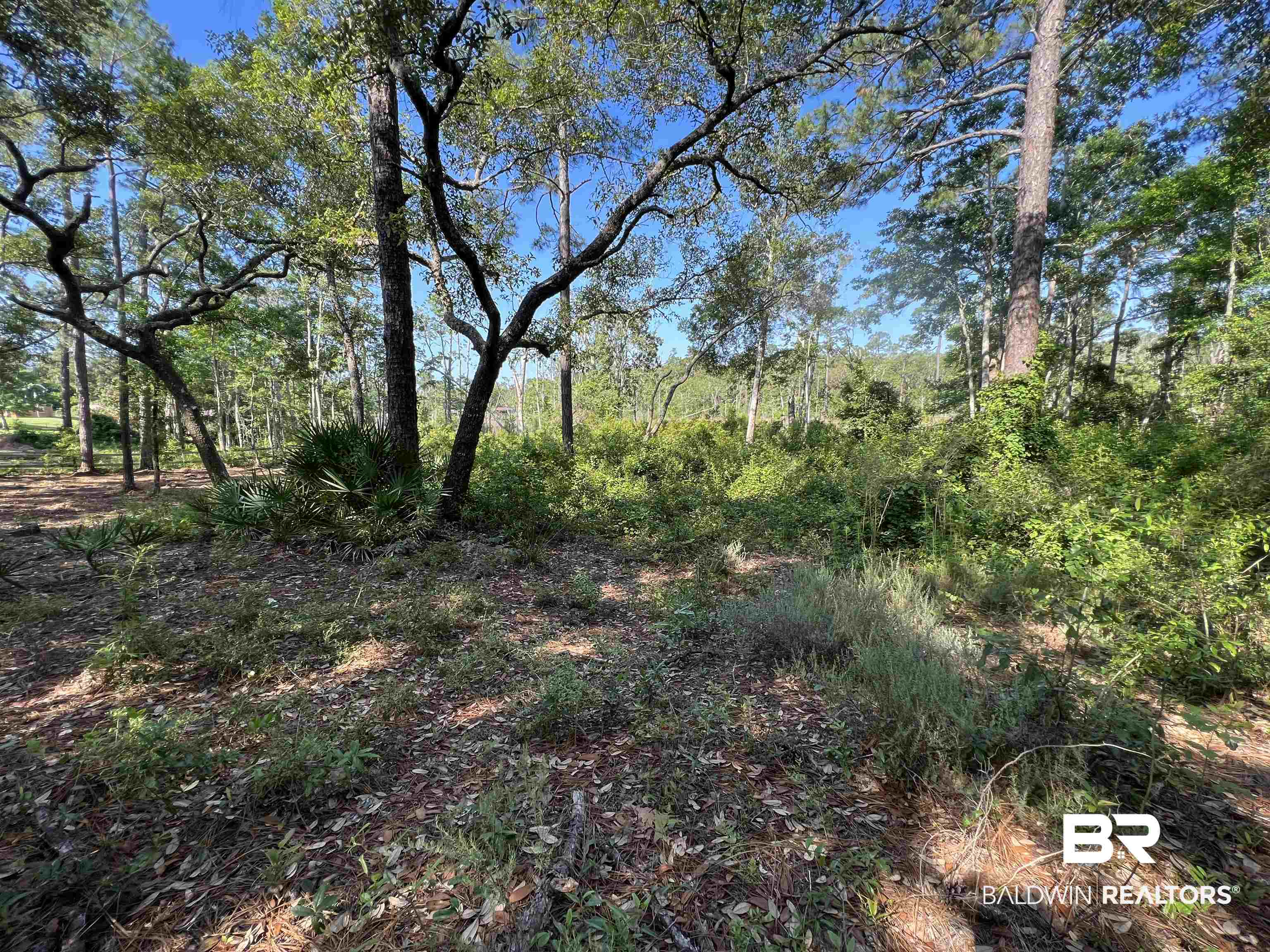 9545 North Bayou Road Lillian, AL 36549 - Photo 25 of 34 View of nature featuring a forest view