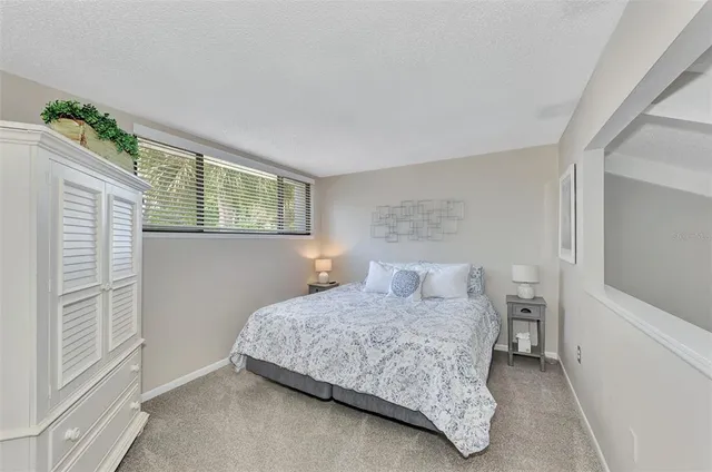 a view of a big room with a big yard and potted plants