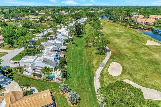 a view of a park with a tree