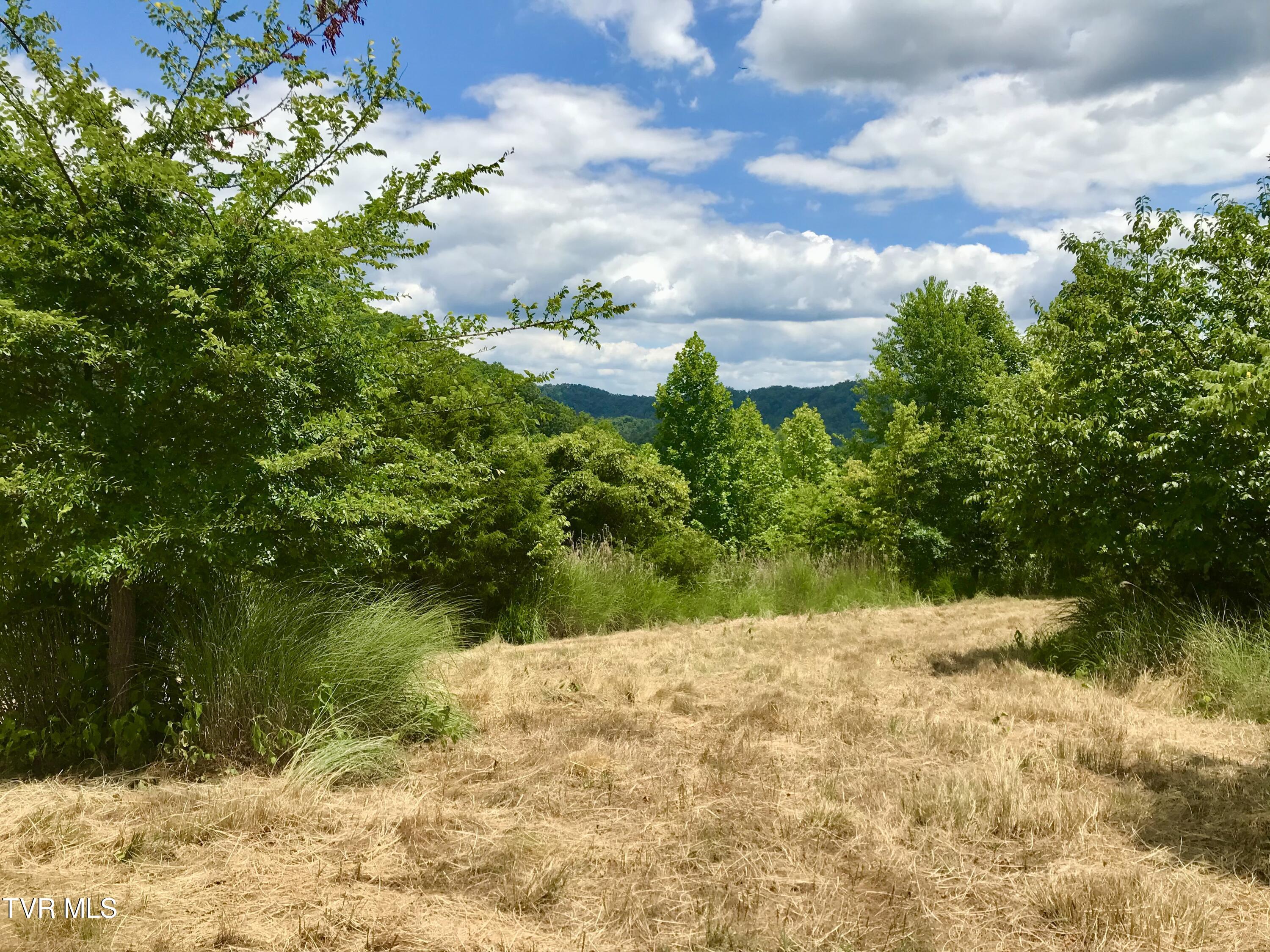 Tbd Kingdom Road Duffield, VA 24244 - Photo 11 of 12 321089D4-7087-4ED5-912C-826CB65DEA16