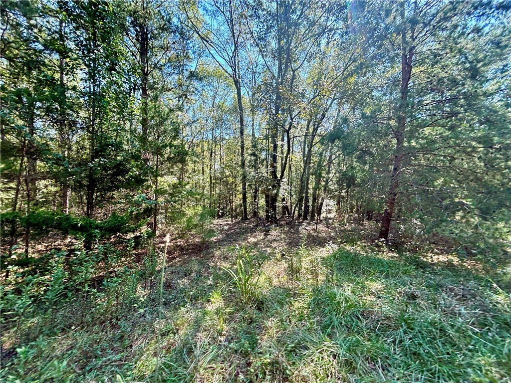 12.9-ac Sandy Springs Road Anderson, SC 29625 - Photo 3 of 9 Gallery Image 3