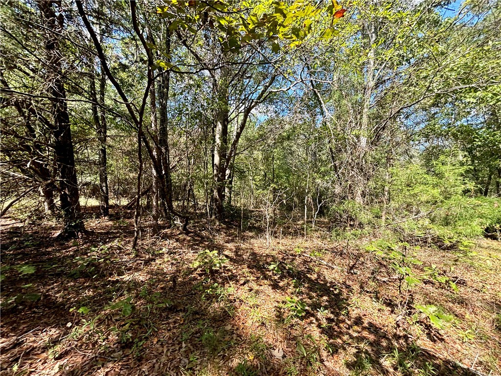 12.9-ac Sandy Springs Road Anderson, SC 29625 - Photo 8 of 9 Gallery Image 8