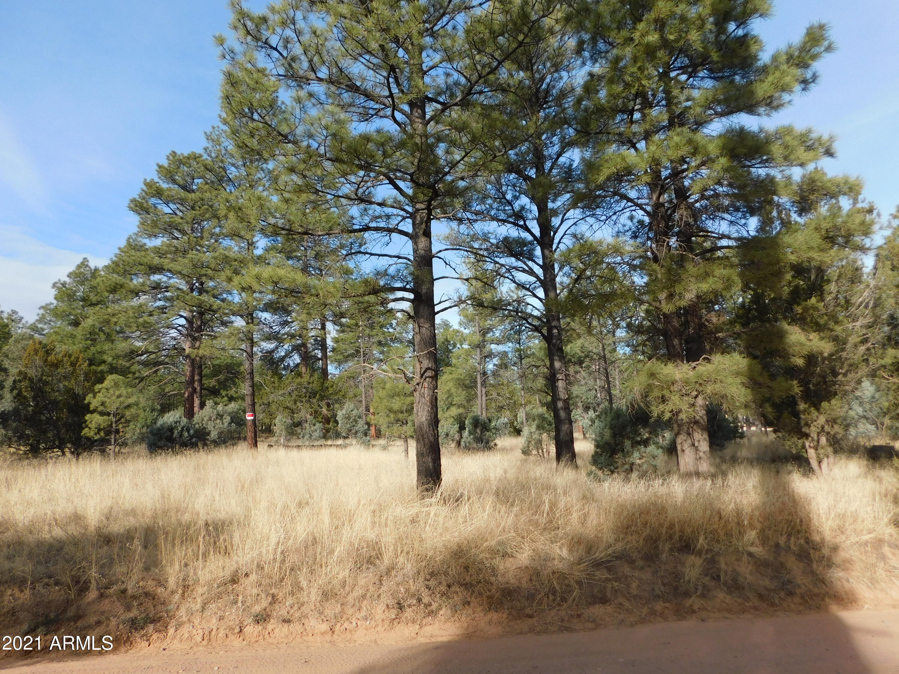 2086 Canyon Ridge Road Overgaard, AZ 85933 - Photo 2 of 3 2086 A Ponderosa Tr (2)