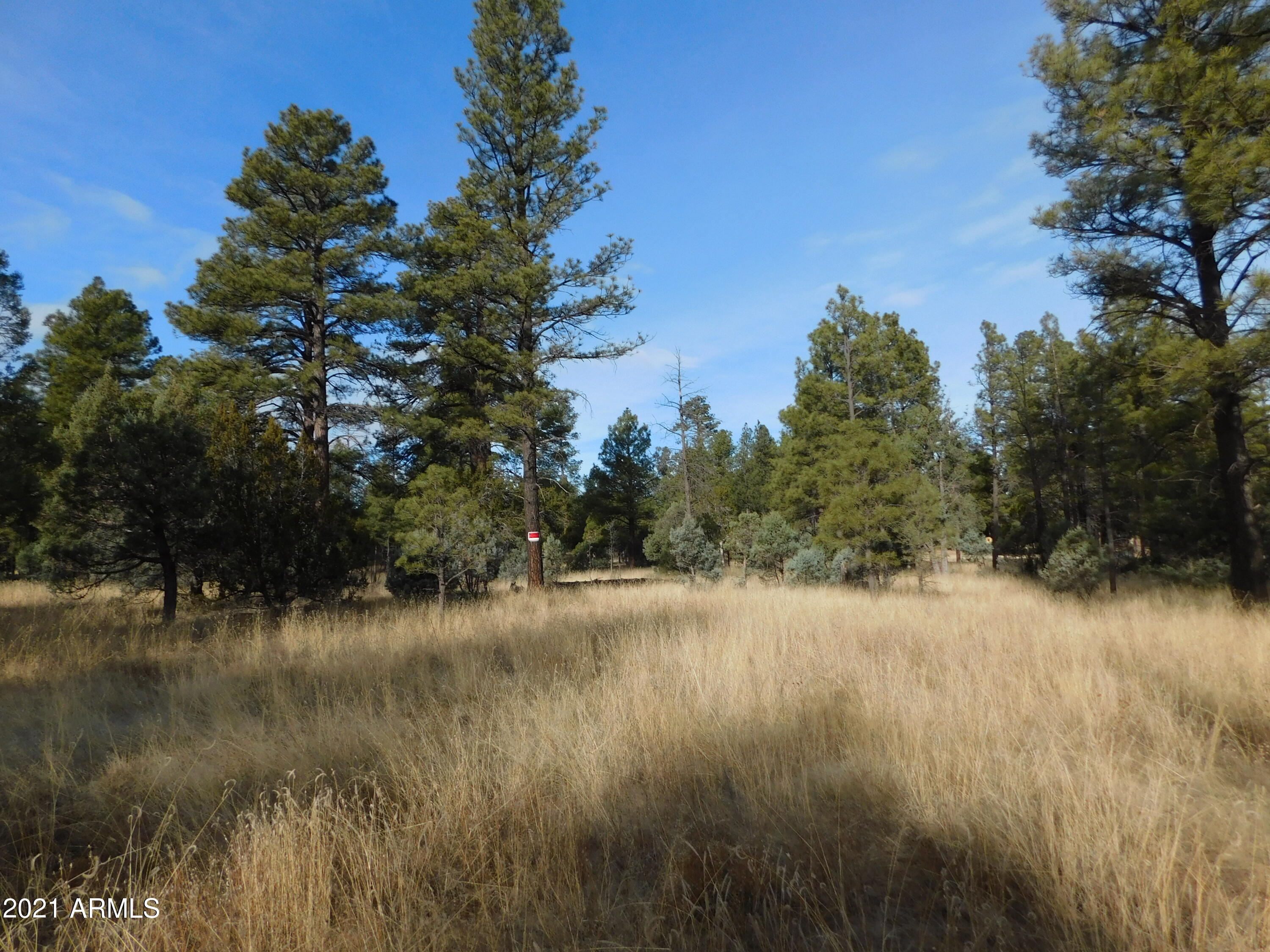 2086 Canyon Ridge Road Overgaard, AZ 85933 - Photo 3 of 3 2086 A Ponderosa Tr (3)