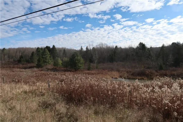 $20,000 | 0 County Road 35, Guilford, NY 13780