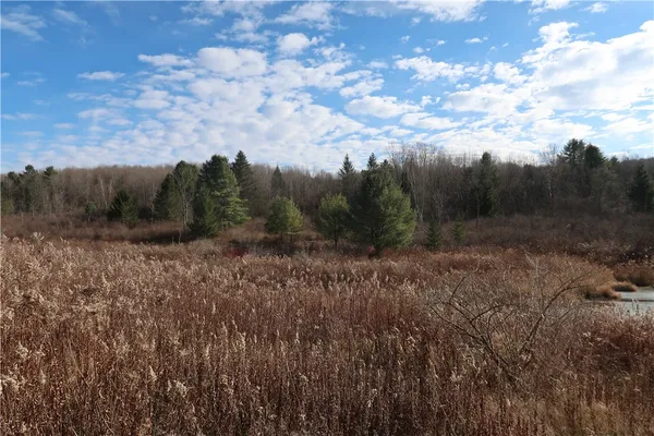 $20,000 | 0 County Road 35, Guilford, NY 13780
