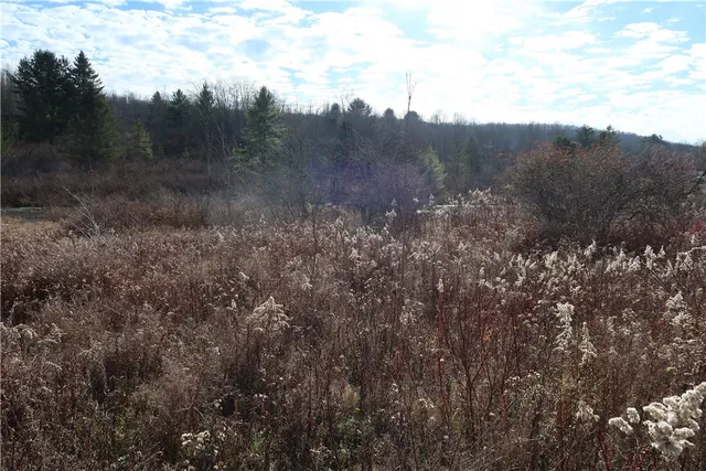 $20,000 | 0 County Road 35, Guilford, NY 13780