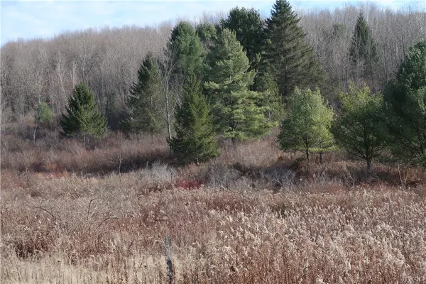 $20,000 | 0 County Road 35, Guilford, NY 13780