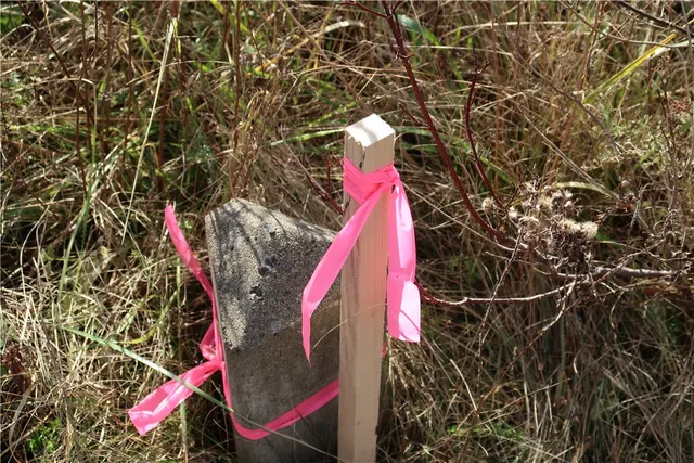 $20,000 | 0 County Road 35, Guilford, NY 13780