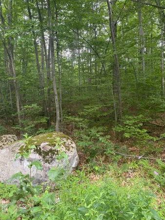 $185,000 | 20 Forest Ridge Drive, Unit 14, Middlebury, VT 05753