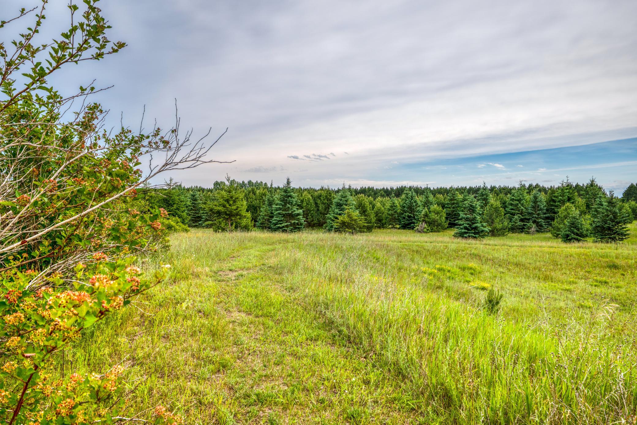1320 Whiting Road Northwest, Unit 39 Bemidji, MN 56601 - Photo 82 of 95