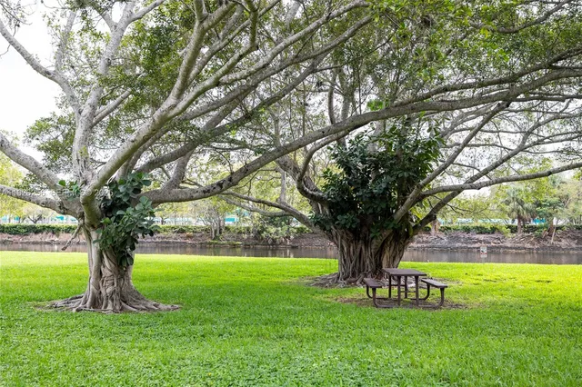 a garden view with a bench in a garden