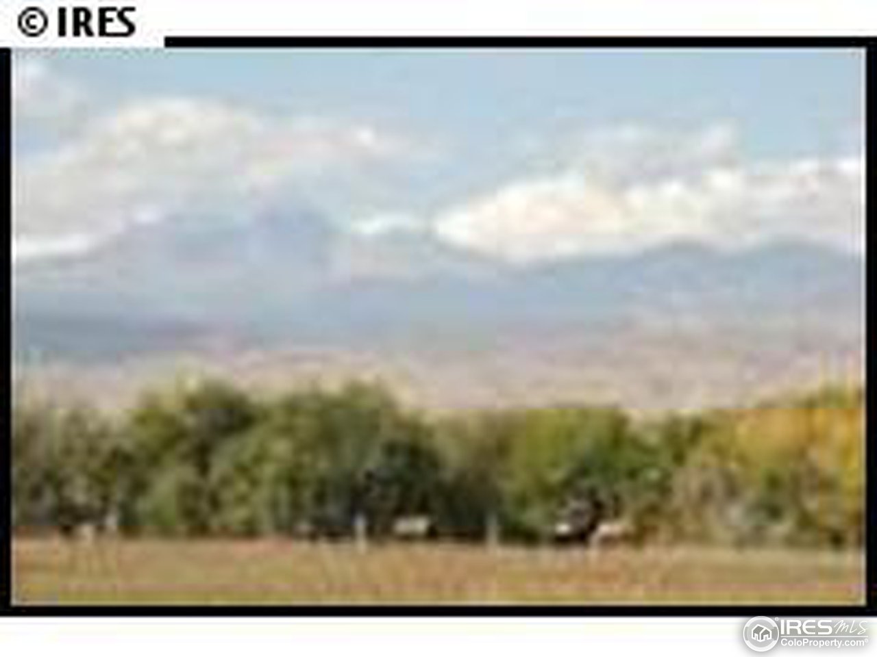 2033 Mountain River Road Berthoud, CO 80513 - Photo 1 of 1 Gallery Image 1