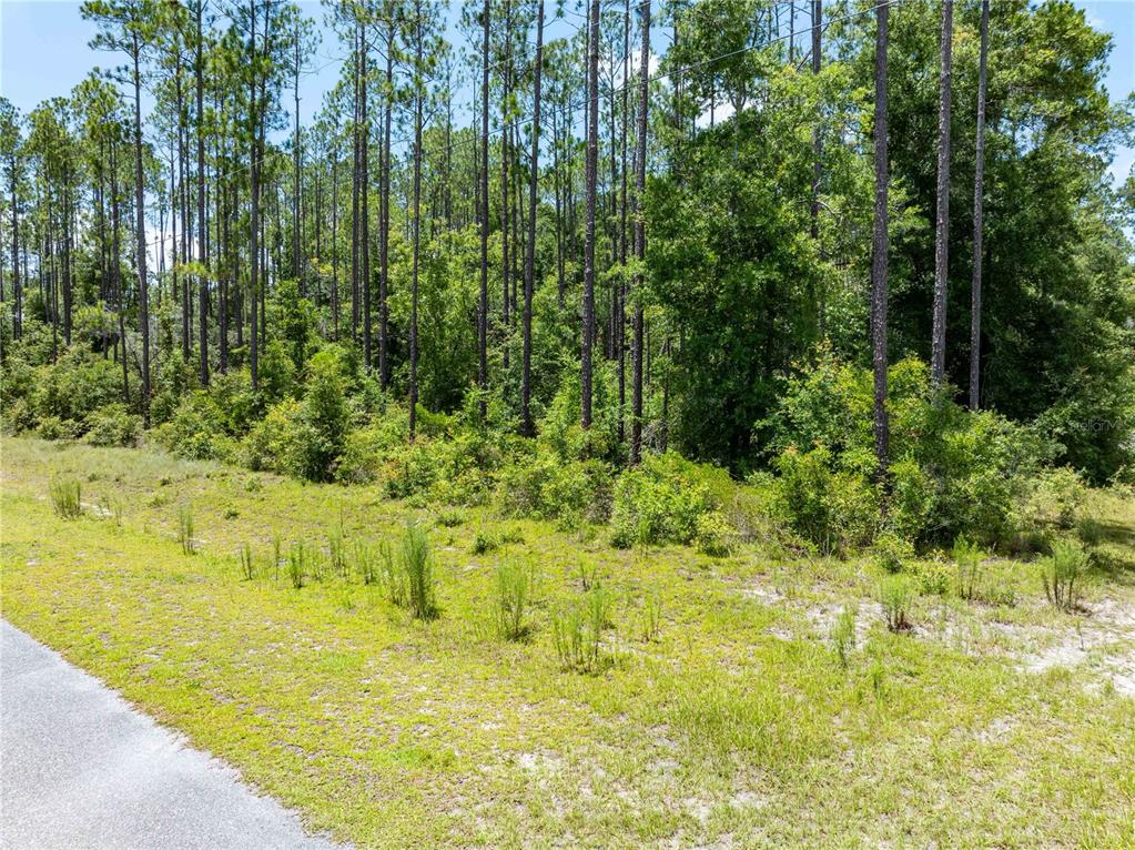 2 71st Lane O'Brien, FL 32071 - Photo 40 of 40 Gallery Image 40