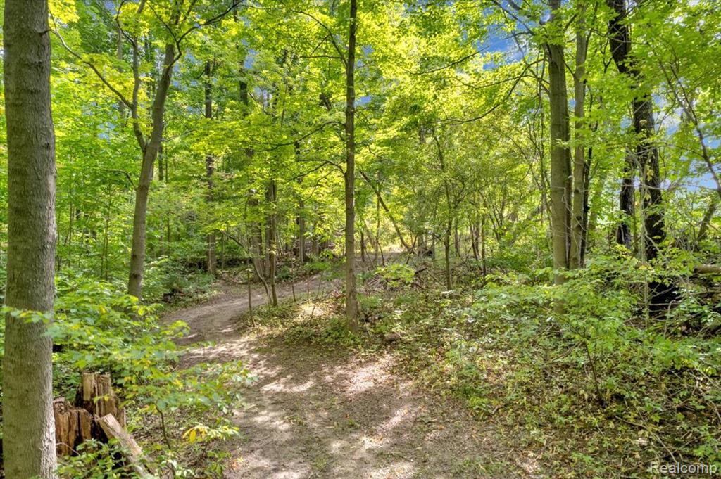 474 North Summers Road Imlay City, MI 48444 - Photo 56 of 58 Gallery Image 56