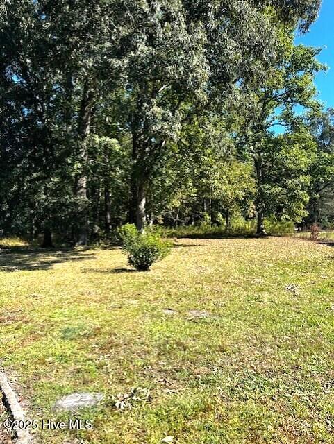 1817 Cobb Road Kinston, NC 28501 - Photo 21 of 21 Large Backyard