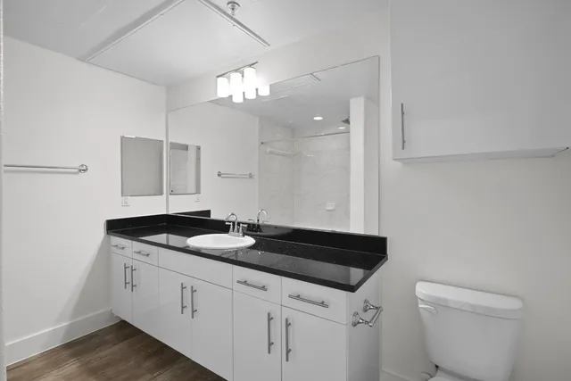 a bathroom with a granite countertop sink a toilet and a mirror