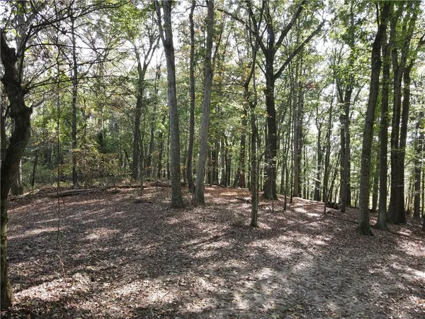a view of outdoor space with tree s
