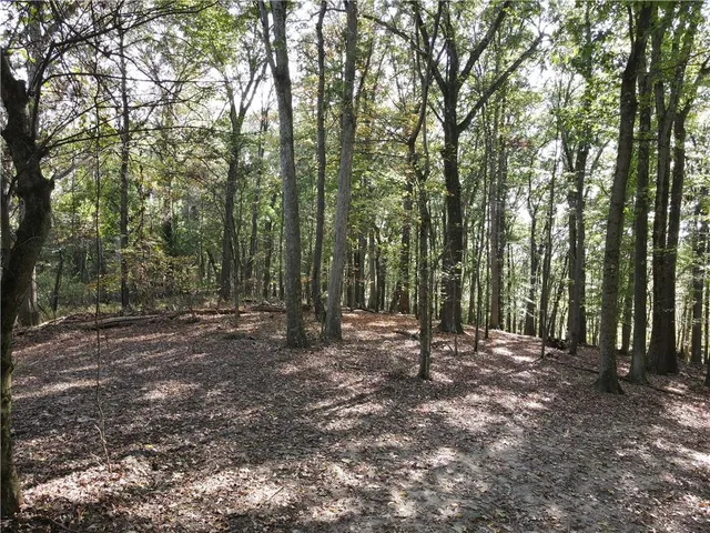a view of outdoor space with tree s