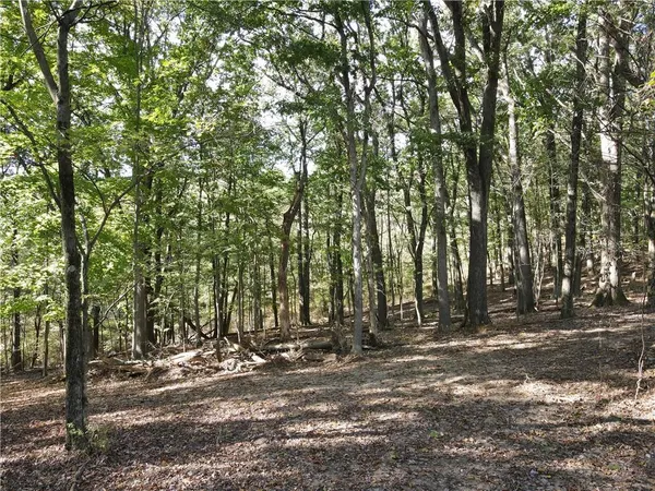 a view of outdoor space with deck and trees