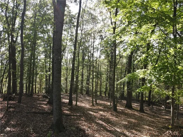 a view of outdoor space and trees