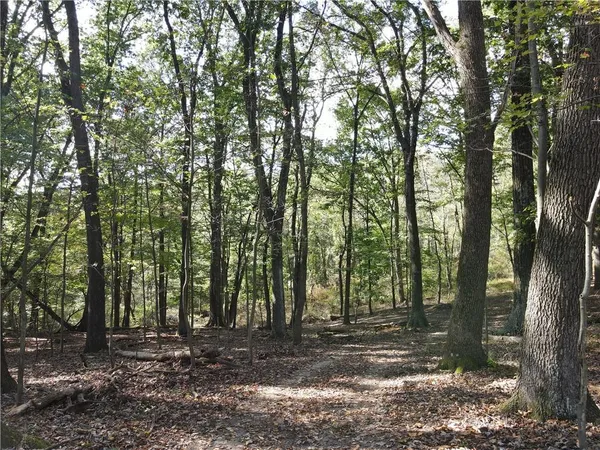 a view of a yard with trees in the background