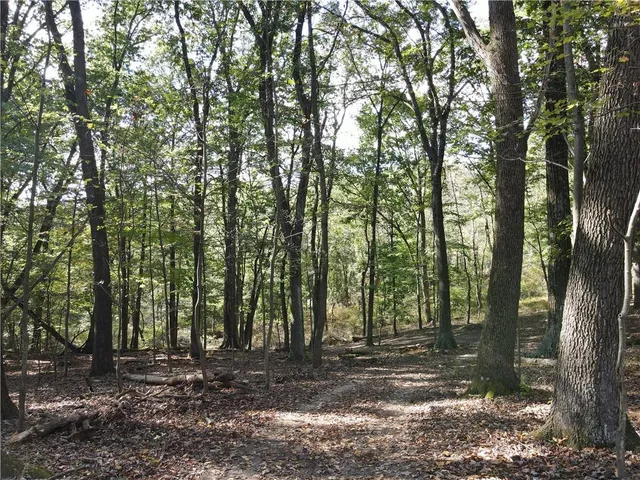 a view of a yard with trees in the background