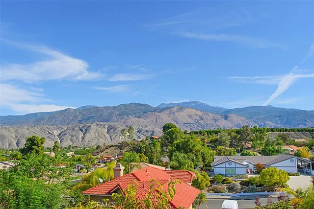 a view of a garden and trees