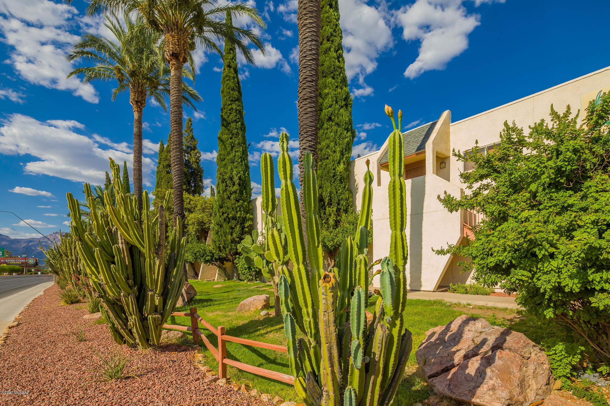 1600 North Wilmot Road, Unit 162 Tucson, AZ 85712 - Photo 6 of 23