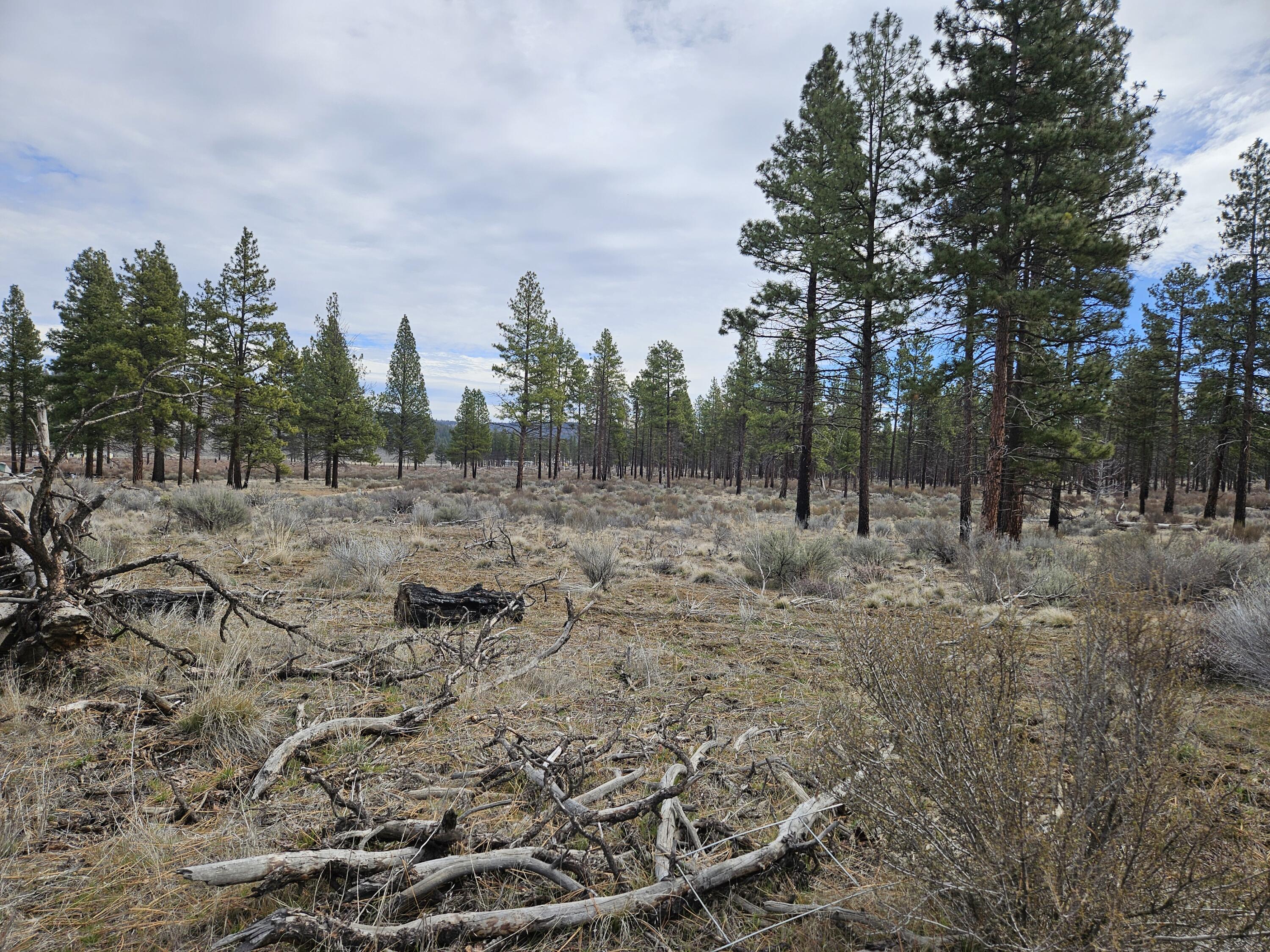 0 Canadian Honker Lane, Unit 9 Chiloquin, OR 97624 - Photo 5 of 11 20260313_123656