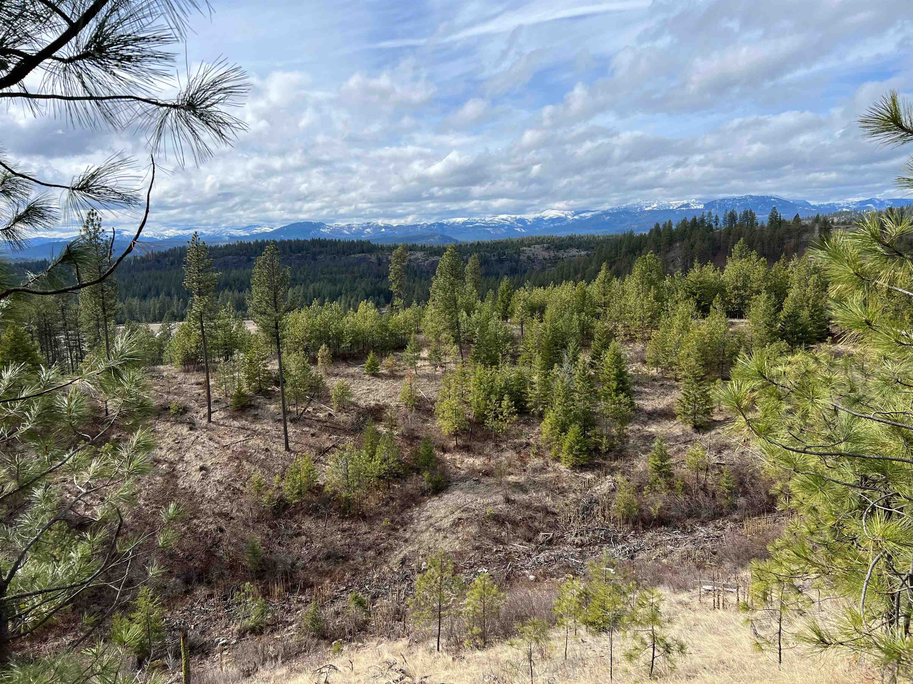 352 X Green Road Valley, WA 99181 - Photo 16 of 32
