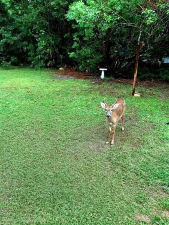 $599,000 | 2380 Shepherd Avenue, St. Cloud, FL 34771