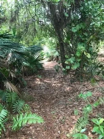 $599,000 | 2380 Shepherd Avenue, St. Cloud, FL 34771