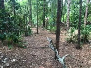 $599,000 | 2380 Shepherd Avenue, St. Cloud, FL 34771