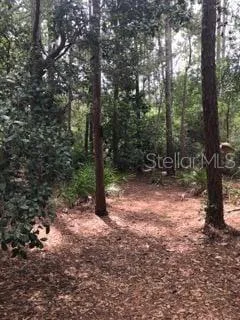 $599,000 | 2380 Shepherd Avenue, St. Cloud, FL 34771