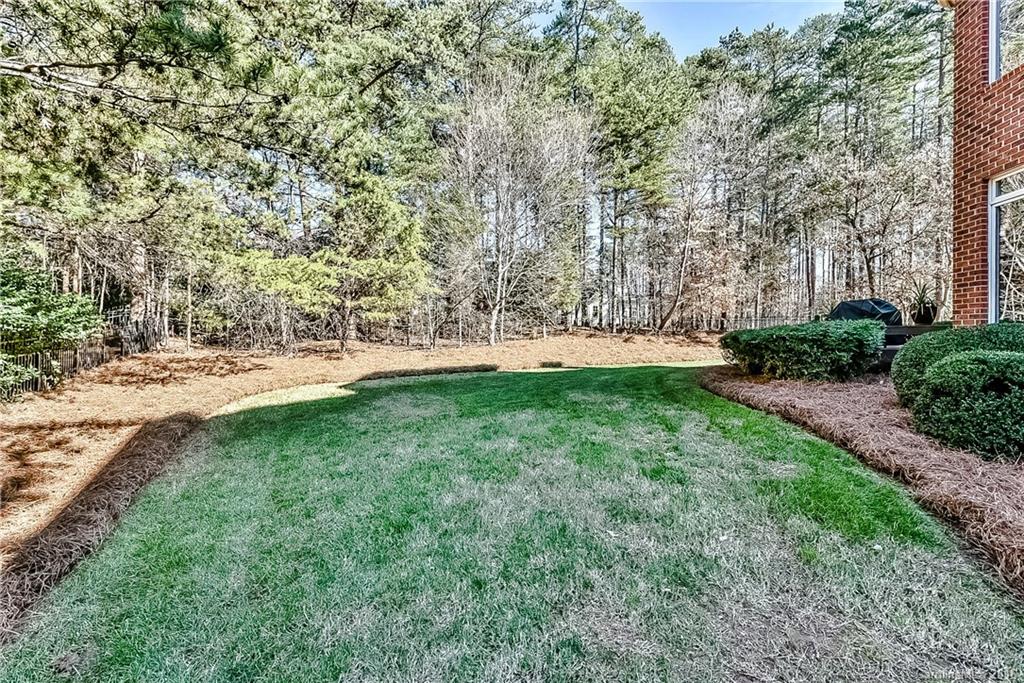 16811 Flying Jib Road, Unit 436 Cornelius, NC 28031 - Photo 22 of 24 Gallery Image 22