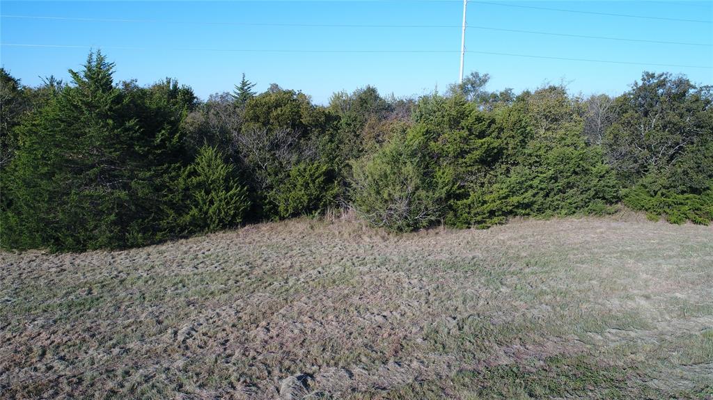 45 South S South Rice, TX 75155 - Photo 10 of 16 a view of a forest with a tree