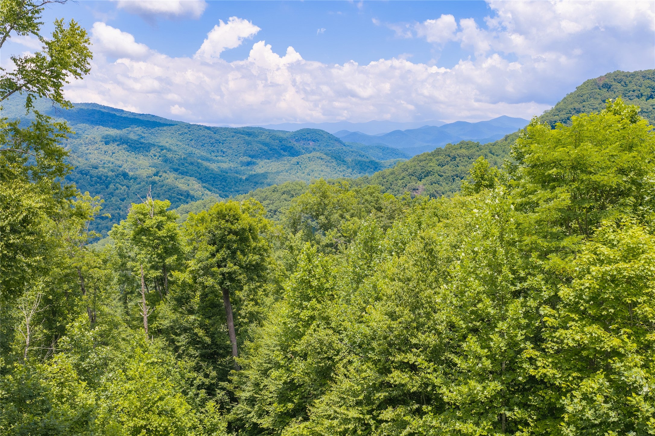 2652 Pilot Knob Road Tuckasegee, NC 28783 - Photo 18 of 33 Gallery Image 18