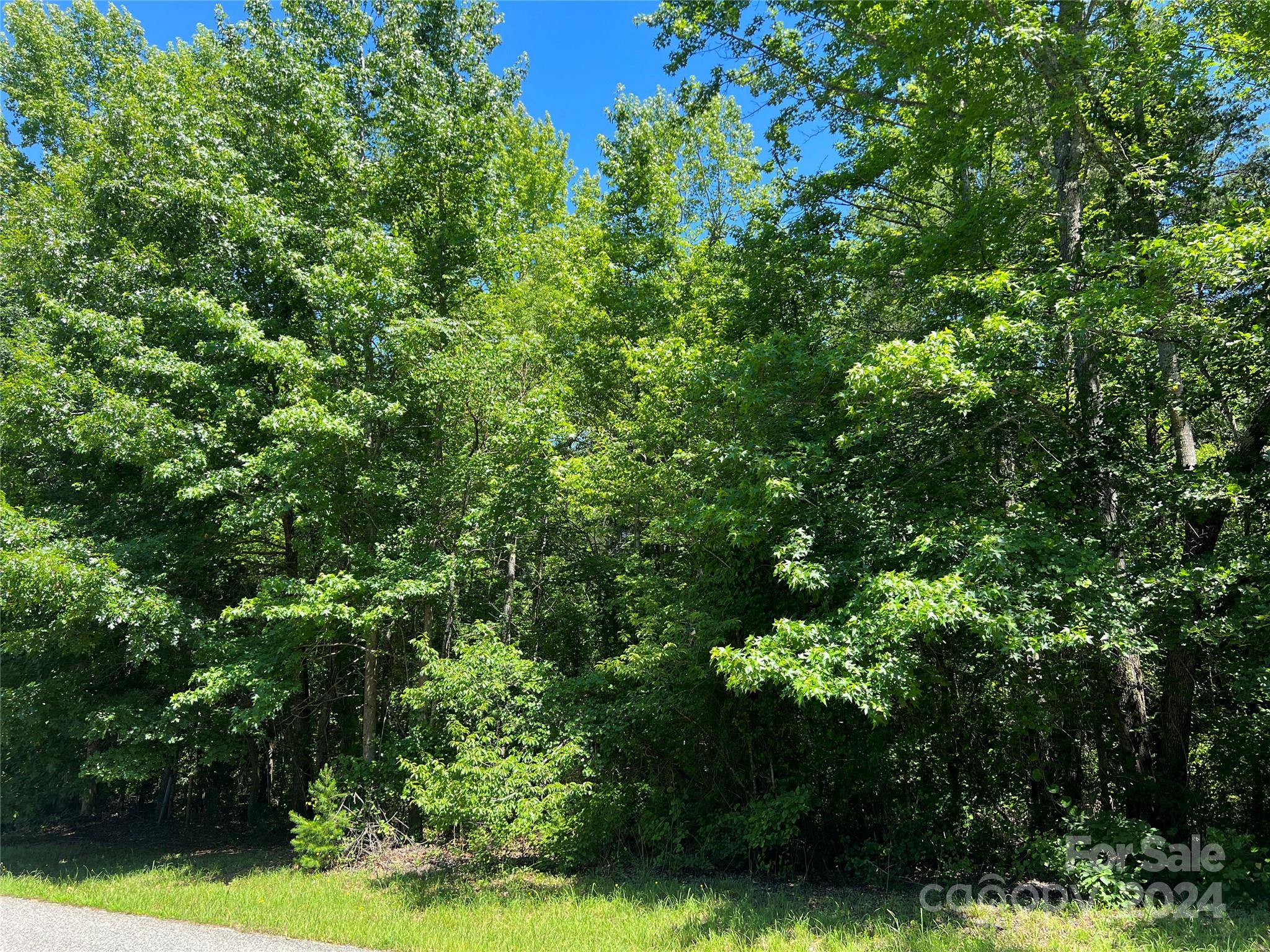 0 Stoneway Lane, Unit 10 Rutherfordton, NC 28139 - Photo 4 of 14 Gallery Image 4