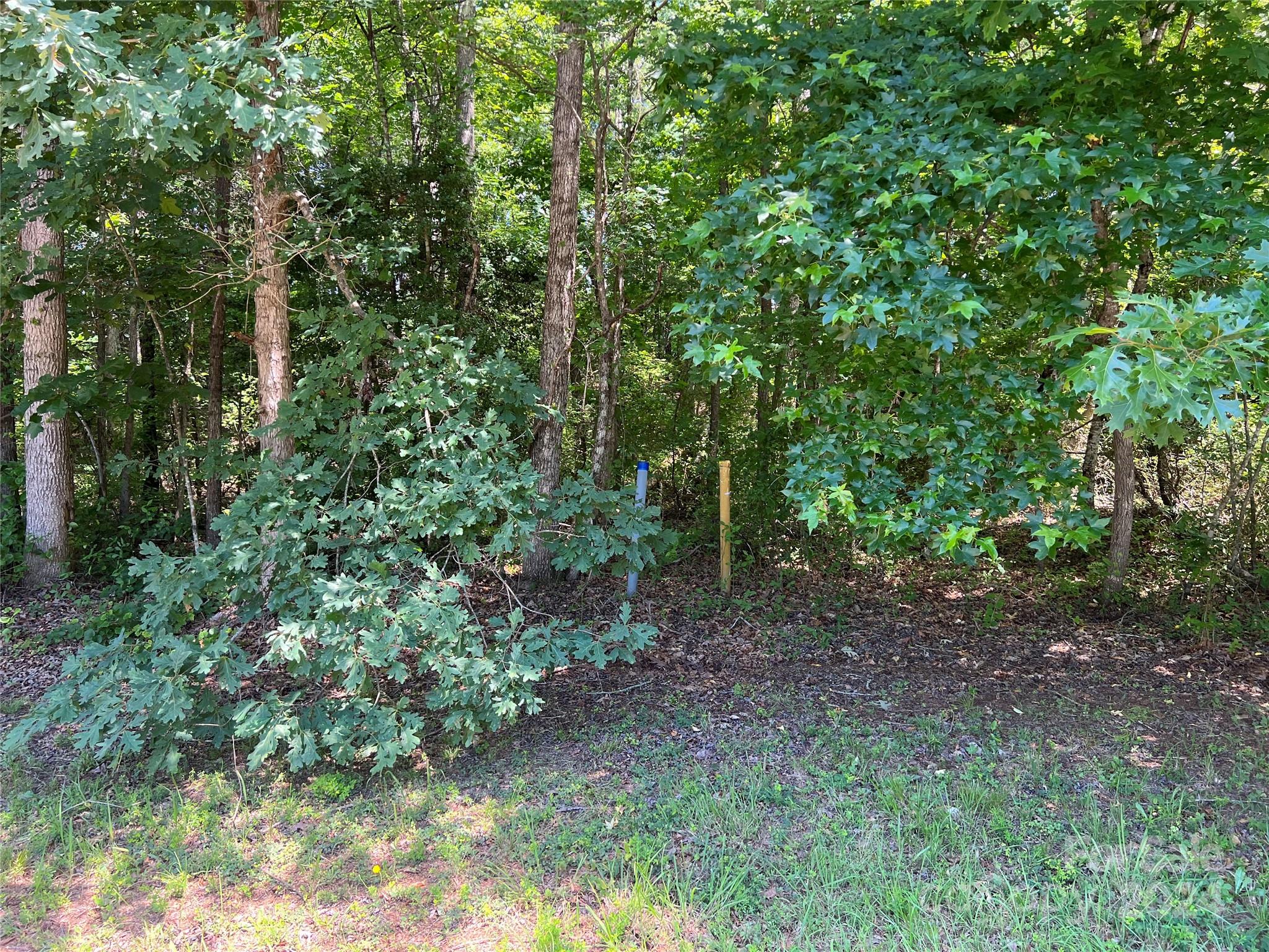 0 Stoneway Lane, Unit 10 Rutherfordton, NC 28139 - Photo 5 of 14 Gallery Image 5