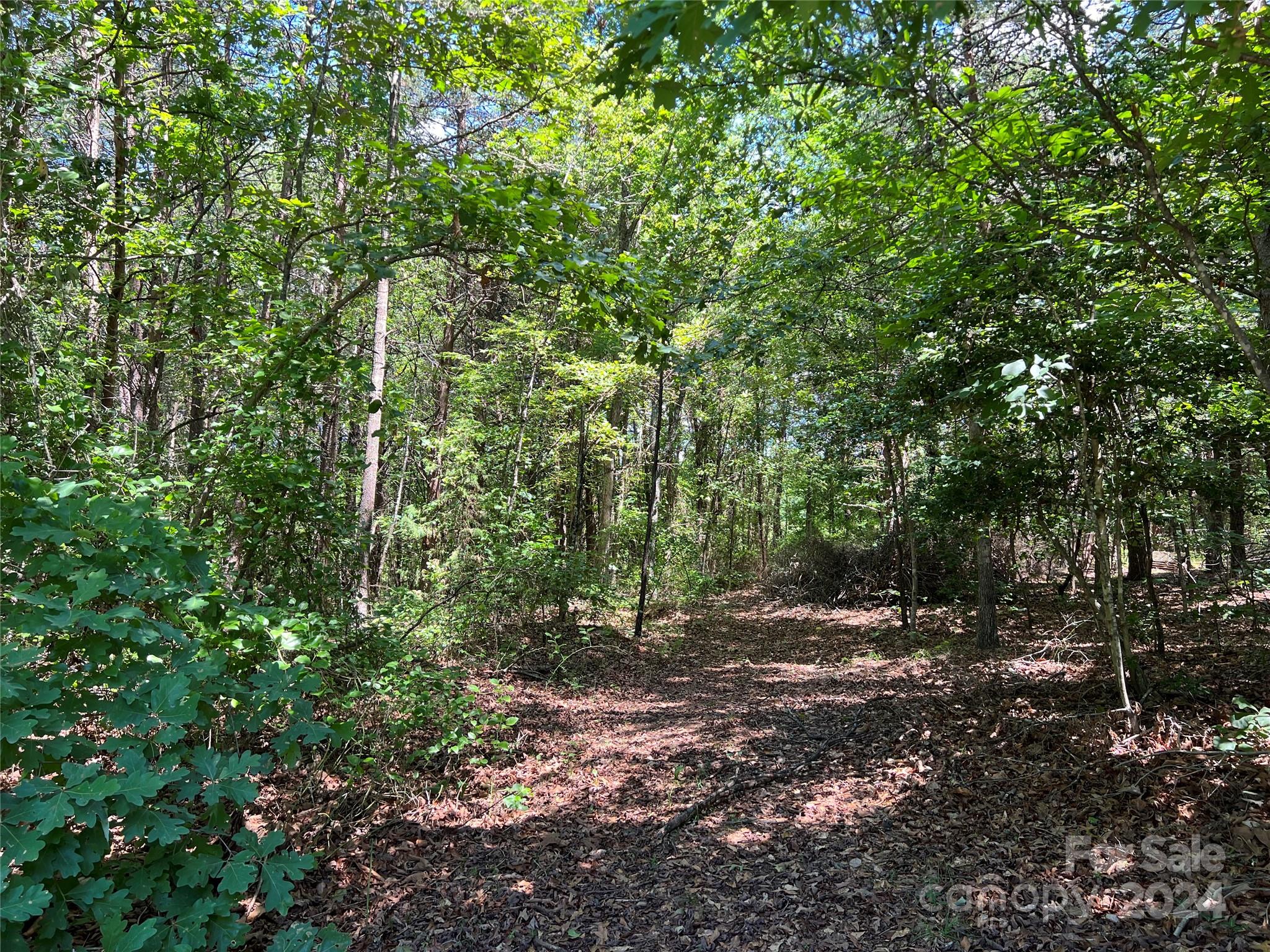 0 Stoneway Lane, Unit 10 Rutherfordton, NC 28139 - Photo 7 of 14 Gallery Image 7