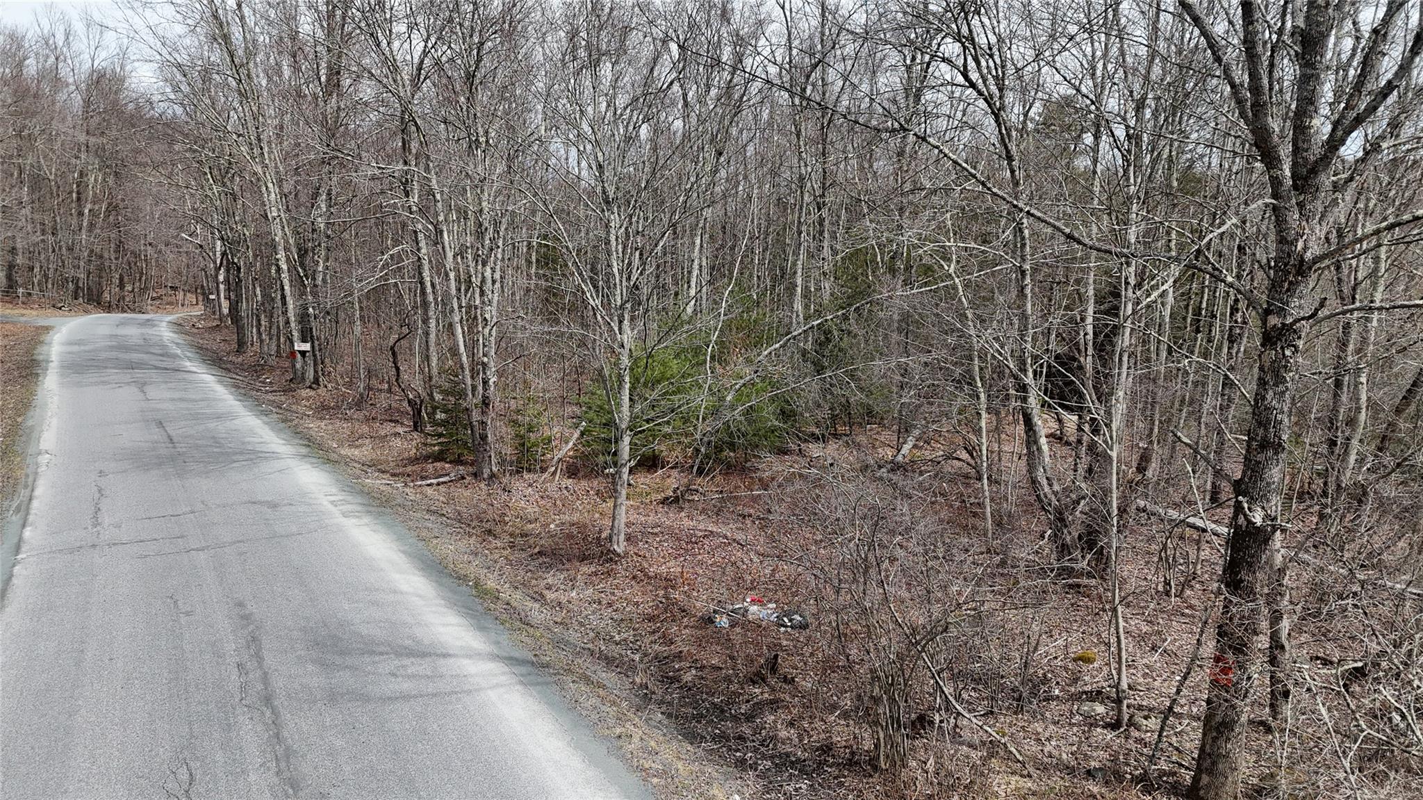 Hasbrouck A Road Fallsburg, NY 12733 - Photo 2 of 10 a view of a pathway with a yard