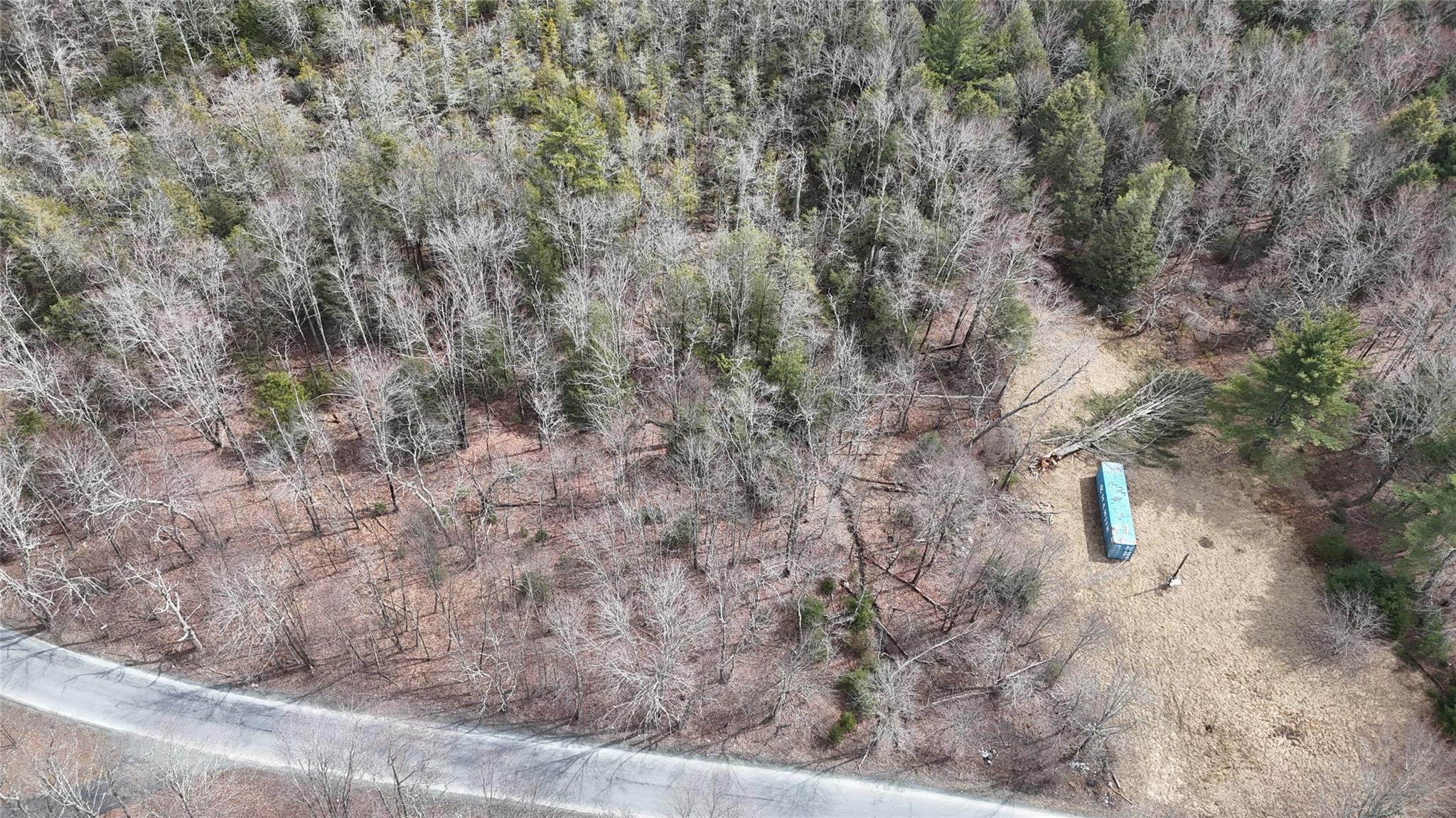 Hasbrouck A Road Fallsburg, NY 12733 - Photo 3 of 10