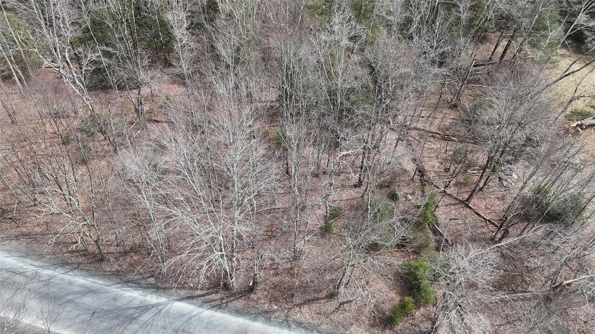 Hasbrouck A Road Fallsburg, NY 12733 - Photo 5 of 10 a view of a dry yard with green space