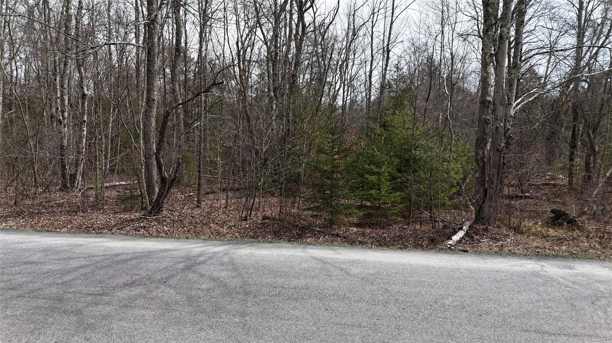 Hasbrouck A Road Fallsburg, NY 12733 - Photo 6 of 10 a view of a field with trees in the background