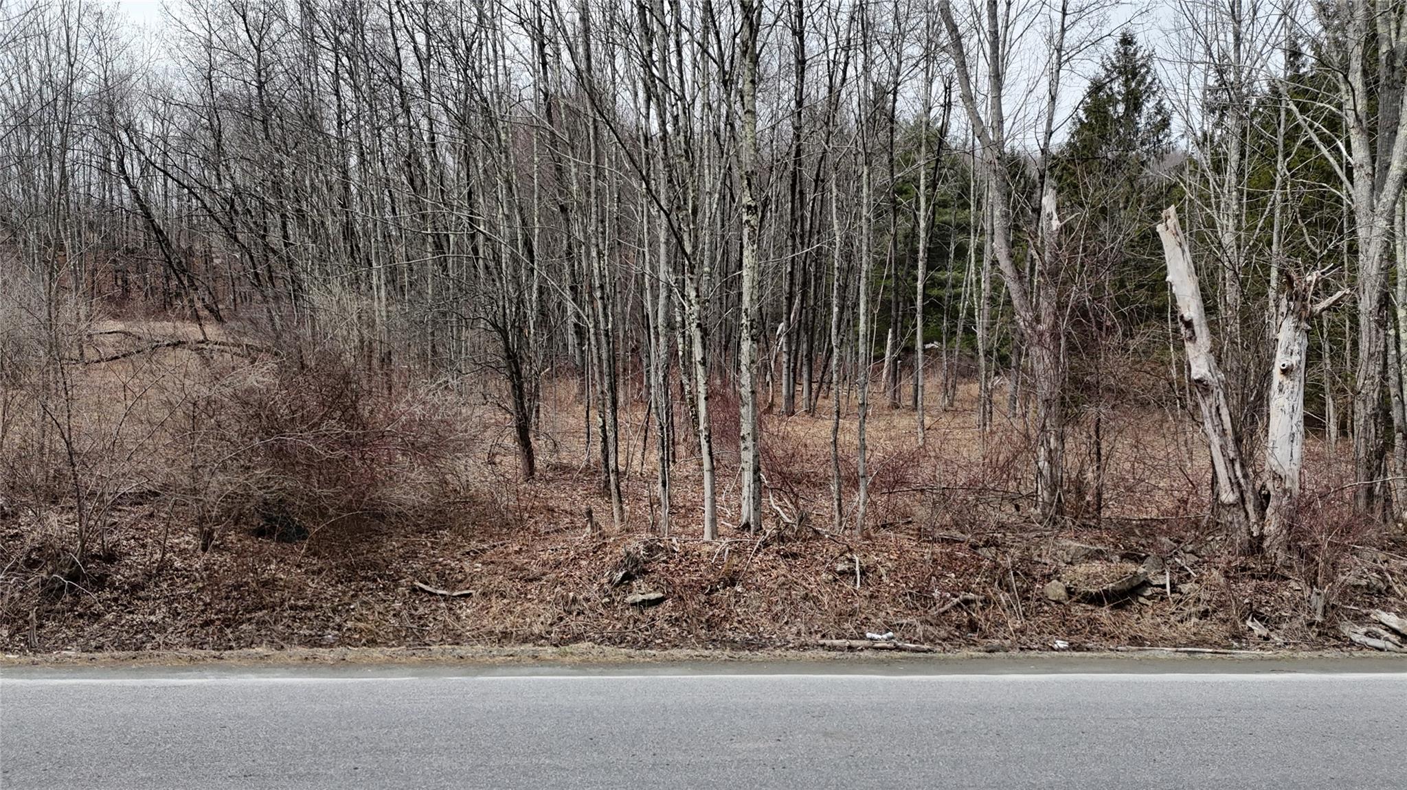 Hasbrouck A Road Fallsburg, NY 12733 - Photo 7 of 10 a view of a backyard of the house