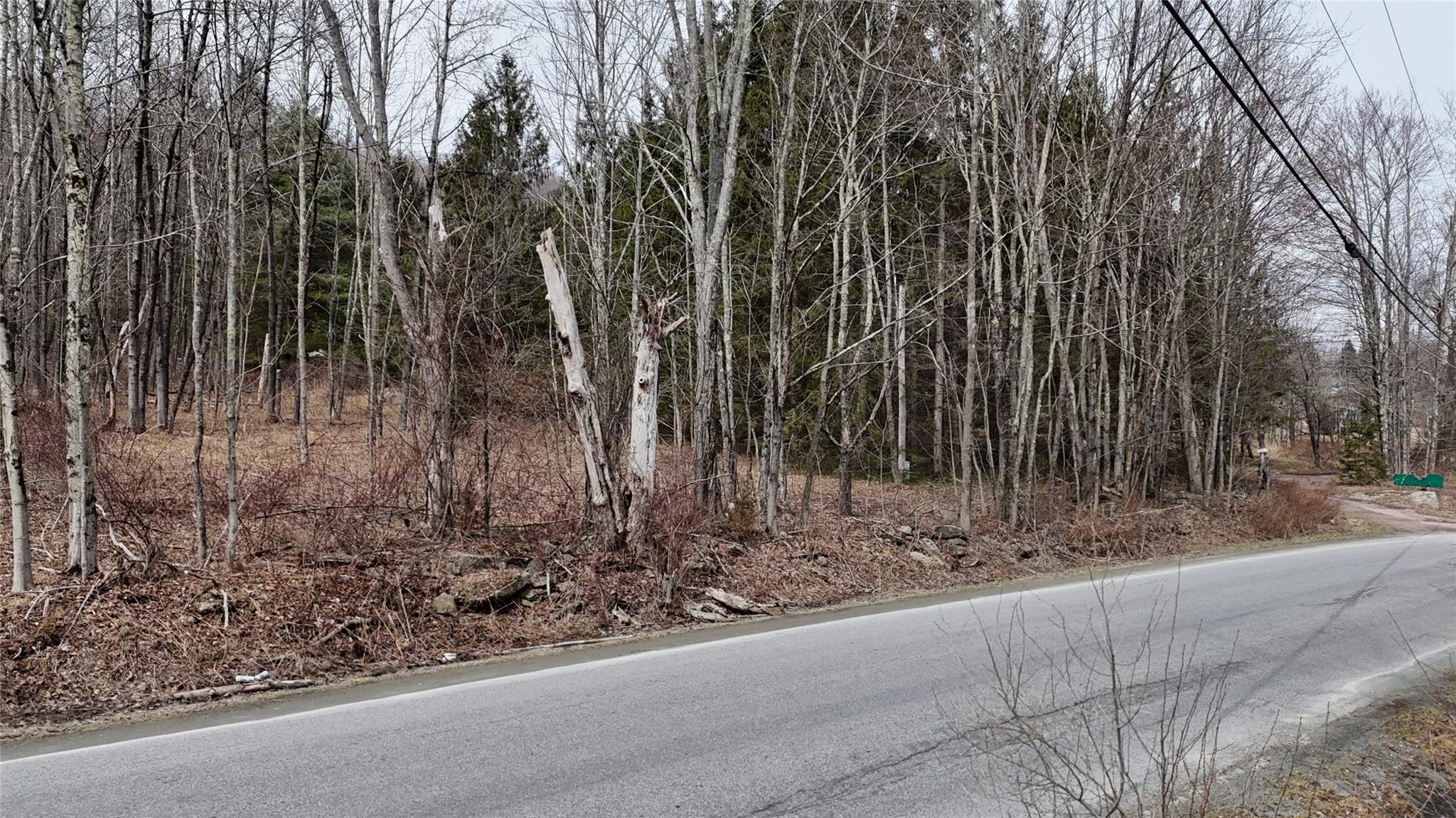 Hasbrouck A Road Fallsburg, NY 12733 - Photo 8 of 10 a view of a backyard of the house